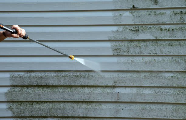 Best Mold Cleaning Services  in Brier, WA