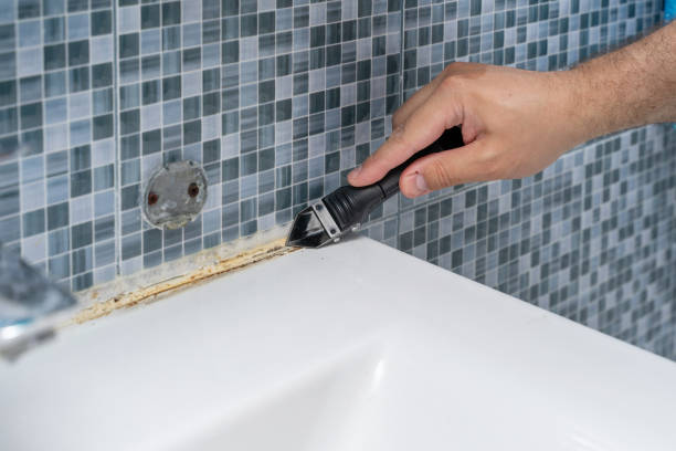 Best Mold Testing  in Brier, WA