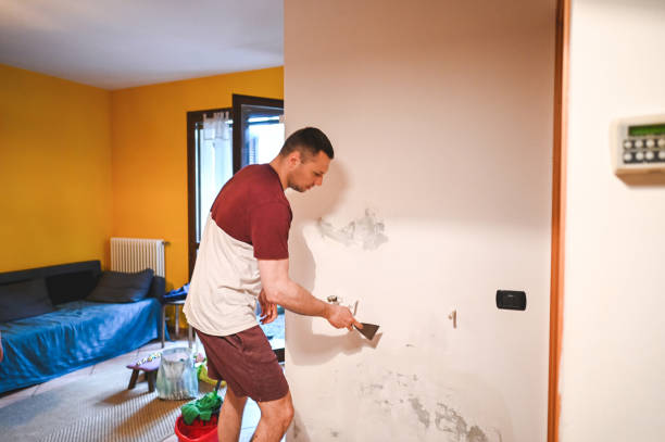 Best Water Damage Restoration  in Brier, WA